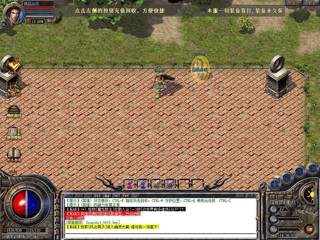 Snapshot_0015.jpg